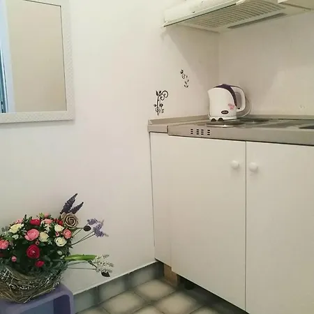 Apartment Rogic *