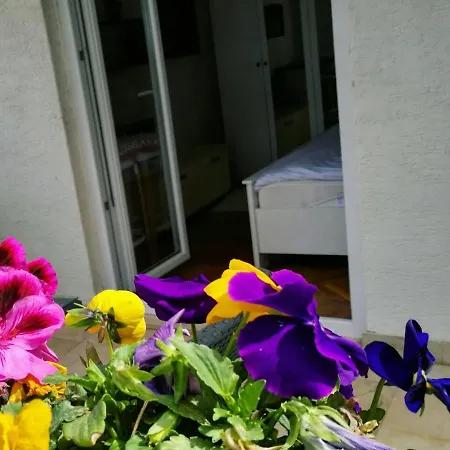 Rogic Apartment Zadar