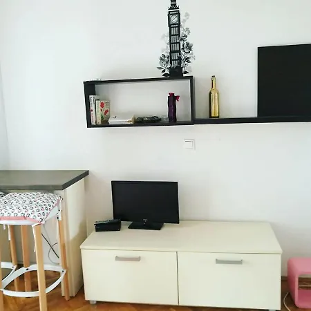 Apartment Rogic *